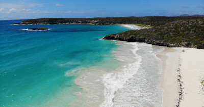 Vieques