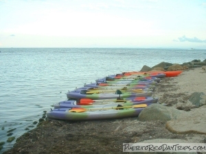 Kayaking in the Bio-Bay