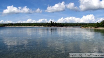 Cayo de Tierra Vieques