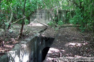 Playa Grande Sugarmill Ruins