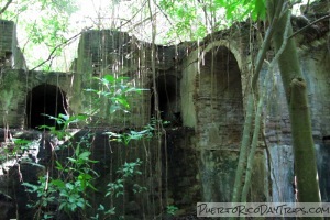 Playa Grande Sugarmill Ruins