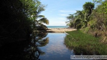 Playa Negra Vieques